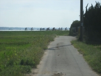 IMG_7747B.JPG