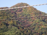 DSC00098_R.JPG