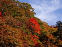 DSC00104_R.JPG