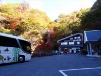DSC00110_R.JPG