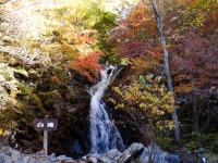 DSC00117_R.JPG