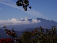 DSC00135_R.JPG