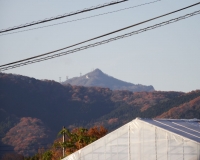 DSC09971-2.jpg