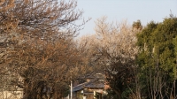 DSC00165_R.JPG