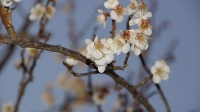 DSC00170_R.JPG