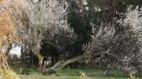 DSC00173_R.JPG