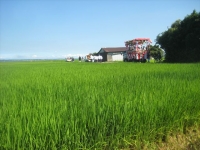 IMG_8862B.JPG