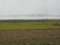IMG_9153B.JPG
