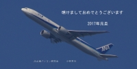 DSC00159-12.jpg