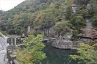_DSC2485_R1_R1.JPG