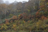 _DSC2886_R1_R1.JPG
