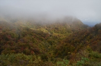 _DSC2898_R1_R1.JPG