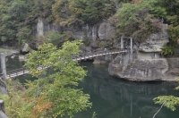 _DSC2486_R1_R1.JPG