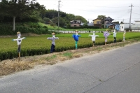 DSC_0202 (2)B.JPG