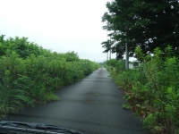 DSC04462.JPG