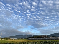 kyounokumo20200917.jpg