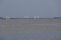 IMG_4260B.JPG