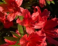 D7989CE5-1972-45BC-A2B5-439C38D63ABD.jpeg