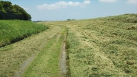 BDSC_5108.JPG