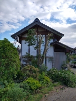 niwaki03.jpg