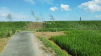DSC_0027B.JPG
