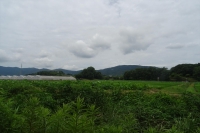 DSC05131_R.JPG