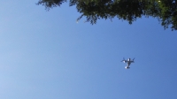DSC_0123B.jpg