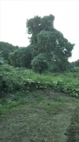 DSC_0727B2.JPG