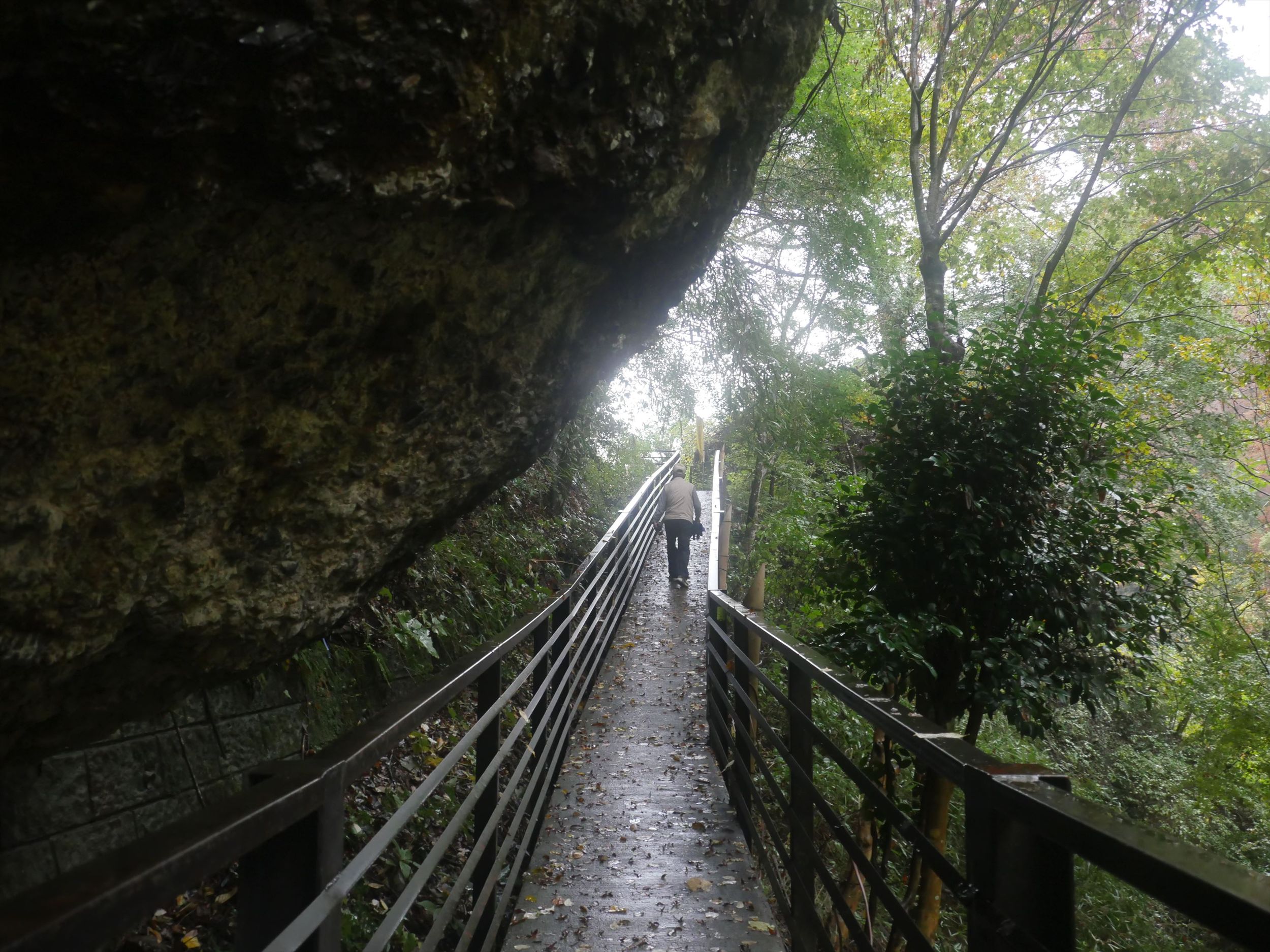 袋田の滝